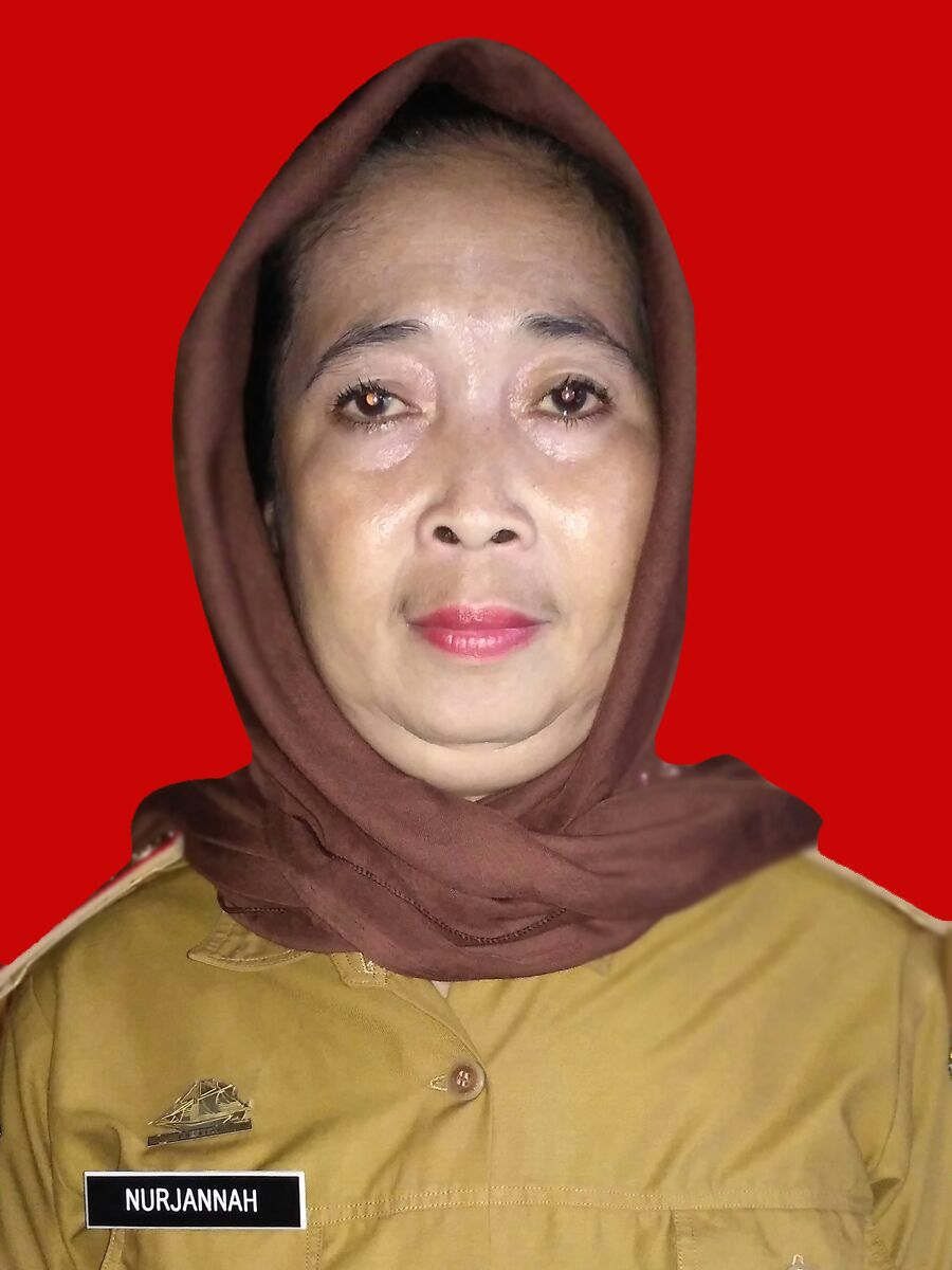 NURJANNAH,S.Sos