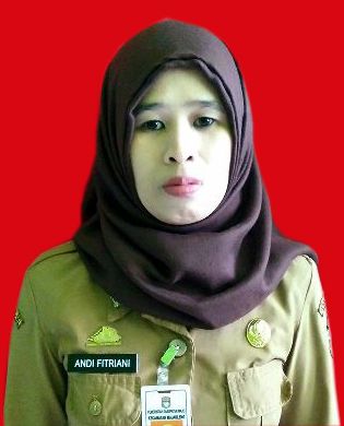 ANDI FITRIANI, S.Sos.
