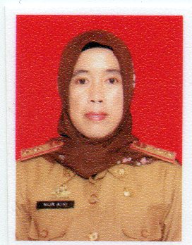 NUR AINI, S.Sos.,M.M.