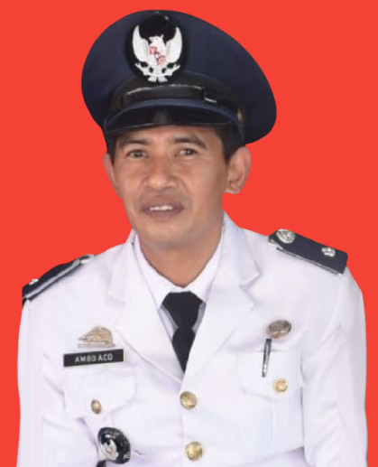 AMBO ACO